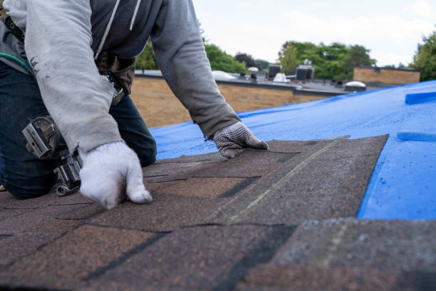 Professional Roofing Contractor in Westby, WI