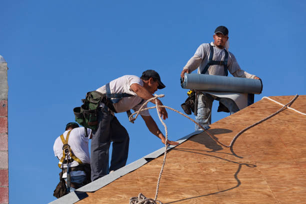 Best New Roof Installation  in Westby, WI