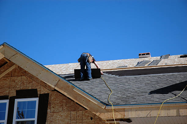 Best Roof Repair Services  in Westby, WI
