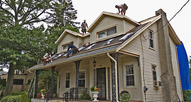 Best Metal Roofing Contractor  in Westby, WI