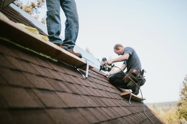 Best Gutter Installation and Roofing  in Westby, WI